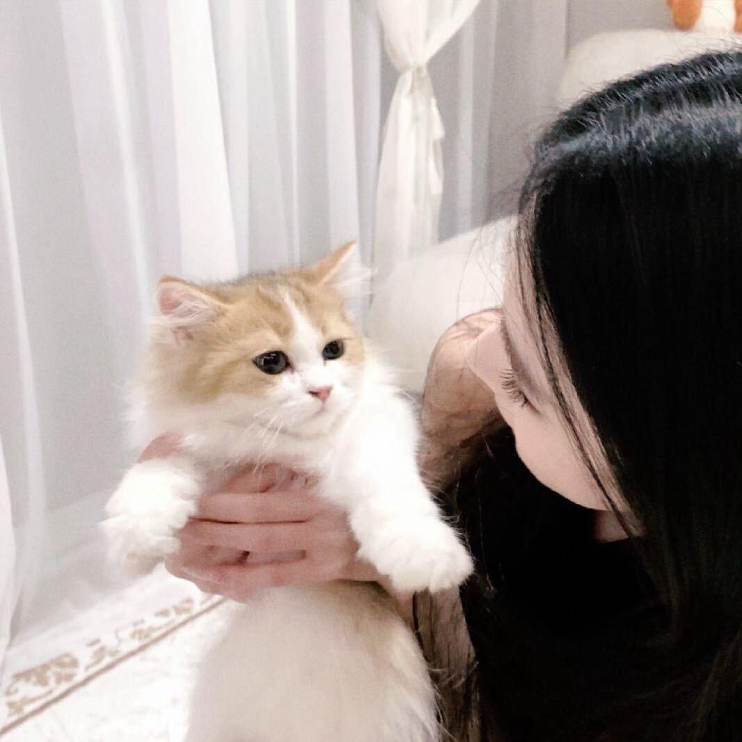妤妤y