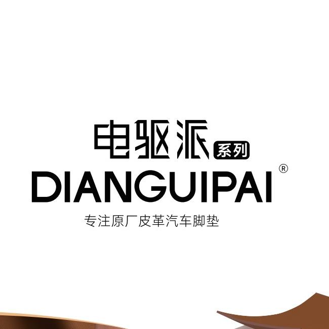 DIANGUIPAI电驱派三防汽车脚垫