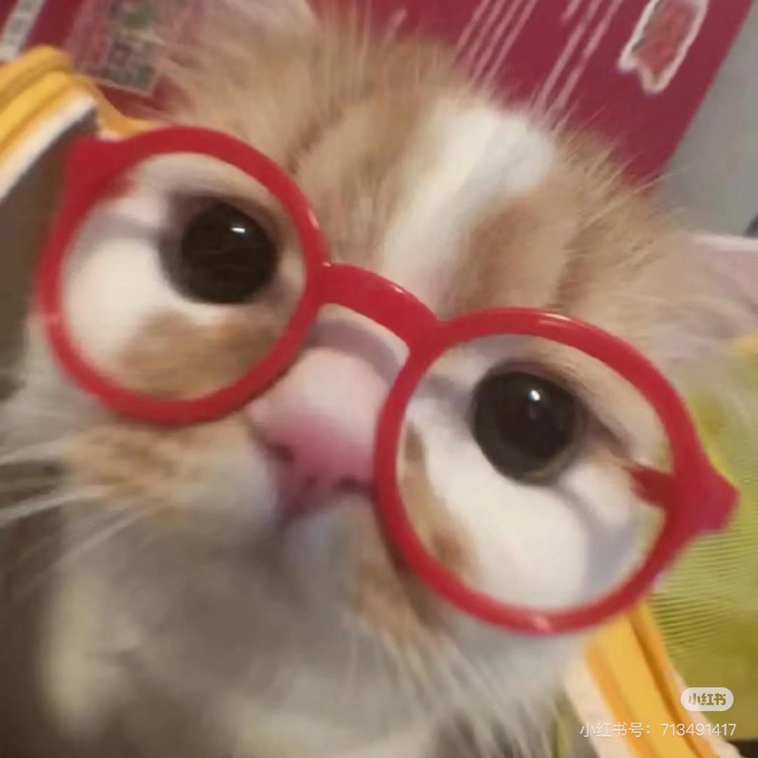 然鹅然鹅