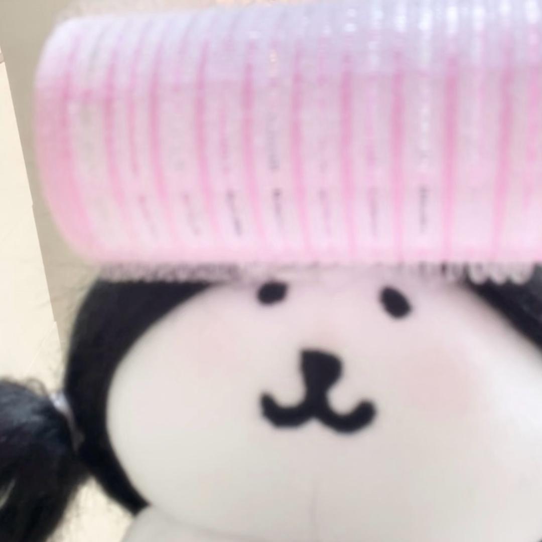 土豆蛋子