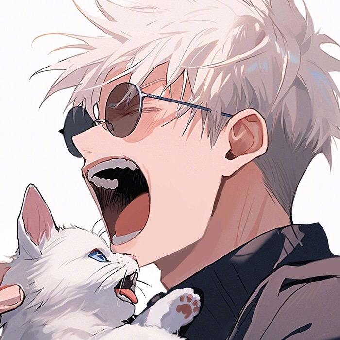 偏爱猫的兔子