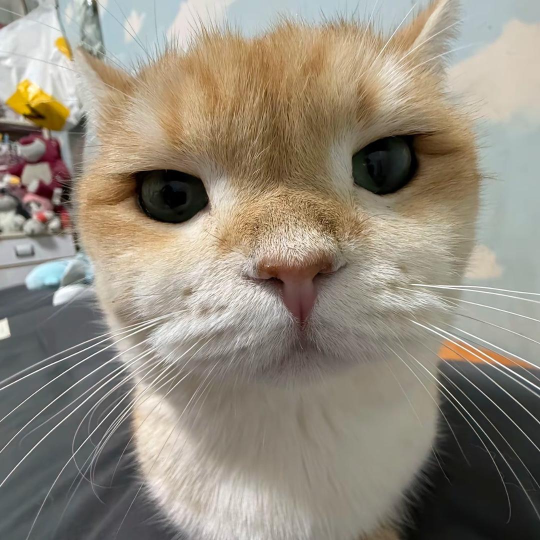 ele