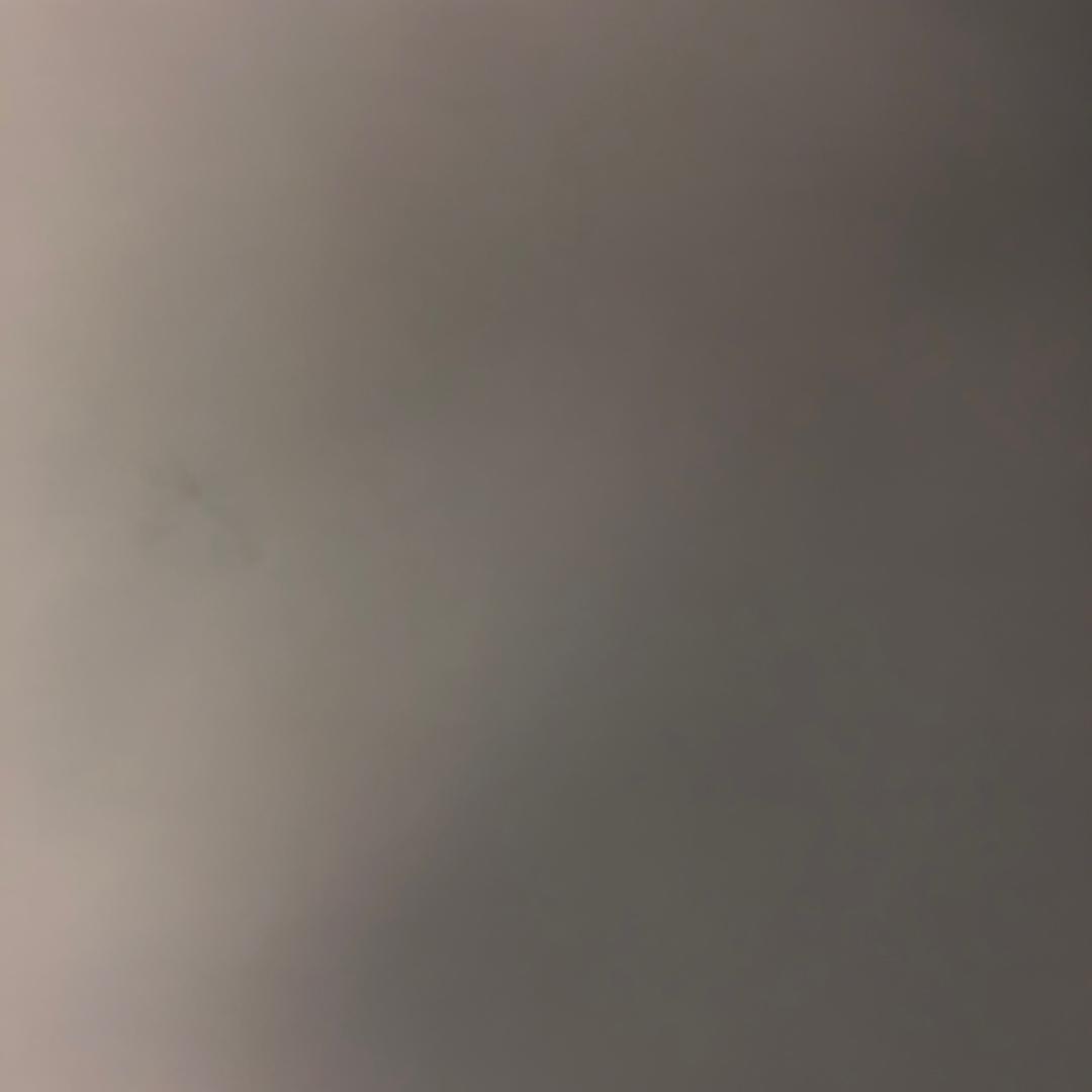 孤狼