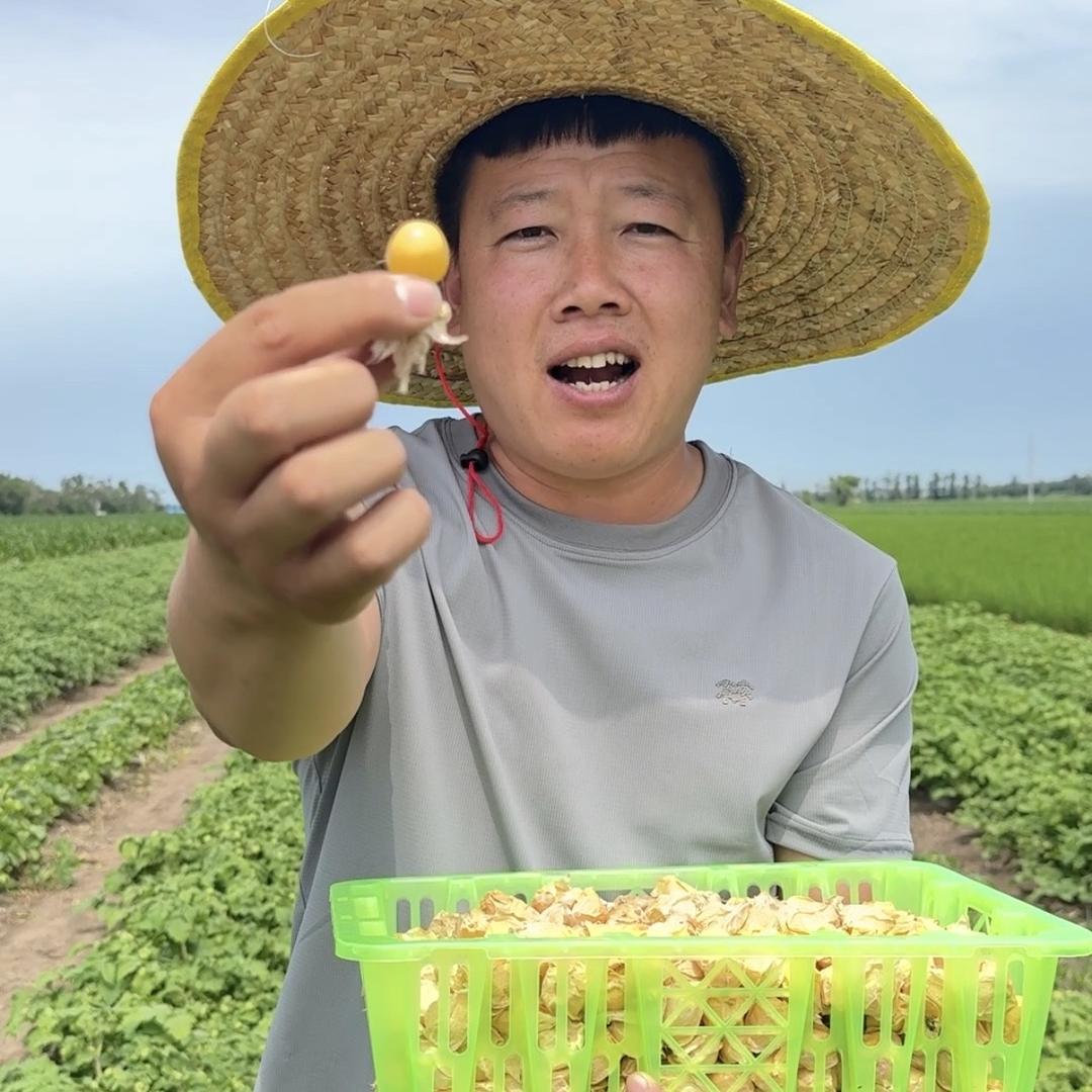 东北农村豆腐匠