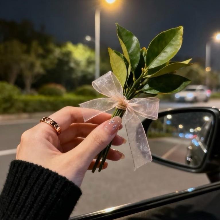 Yan姐的日常生活