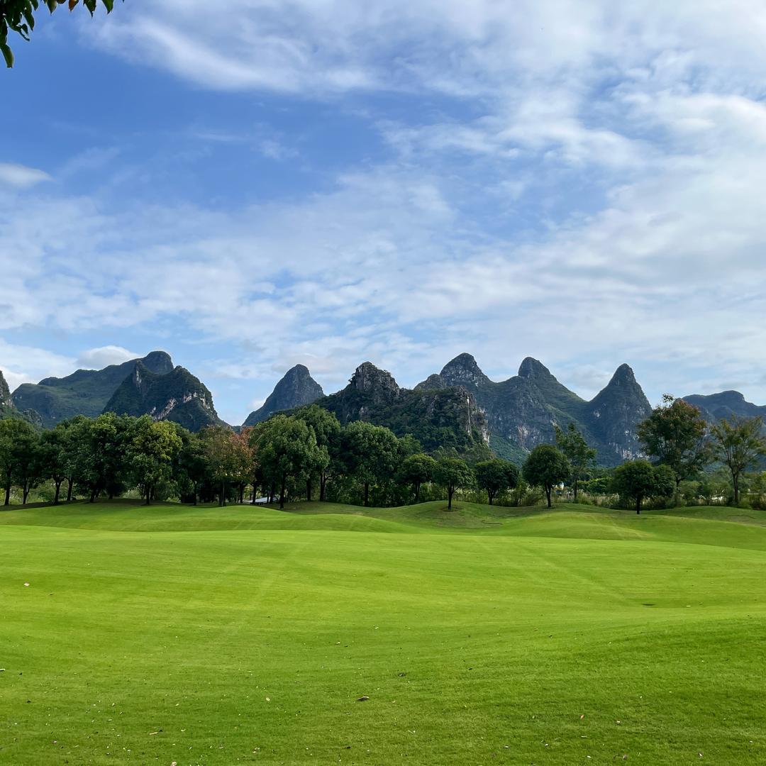 文雅的桑葚在地球漫步