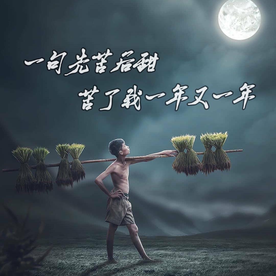 我想吃肉啊
