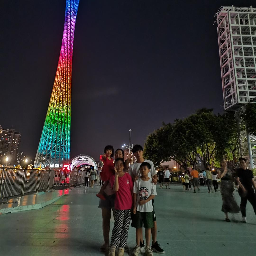 杨婷
