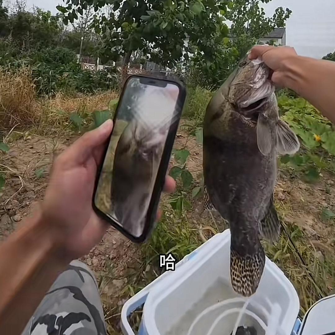 宇陌