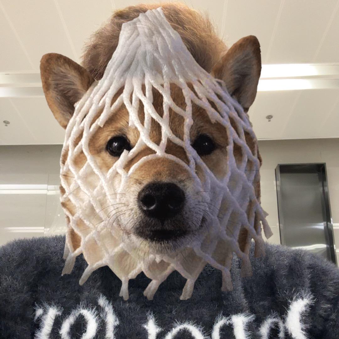 嘚嘚嘚嘚艾斯🎄.