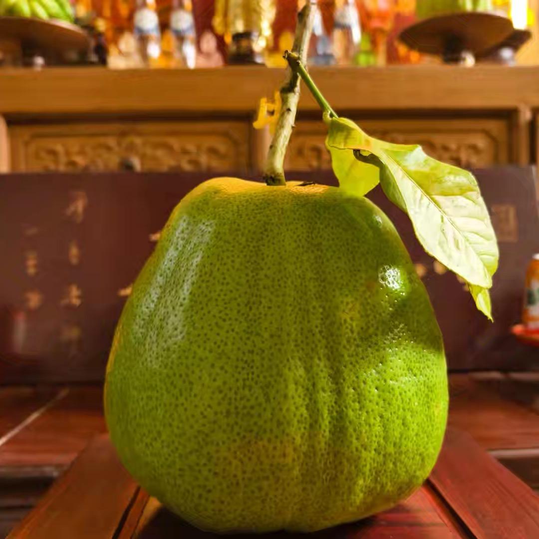 山缘奇妙物语