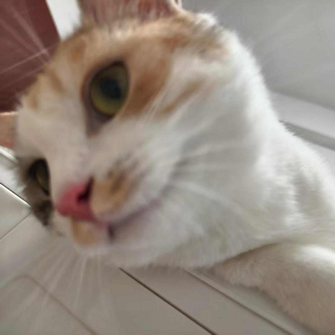 了因