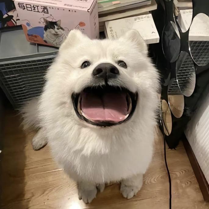 黏牙小月亮