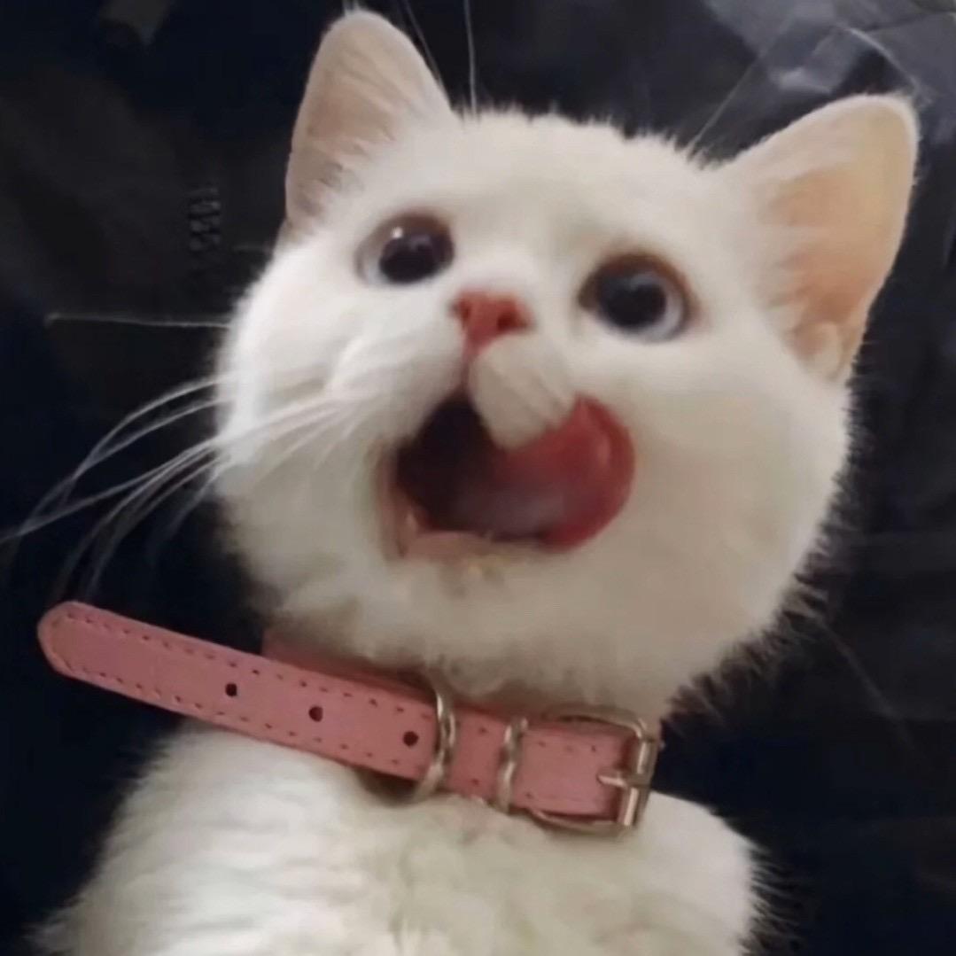 野生葵