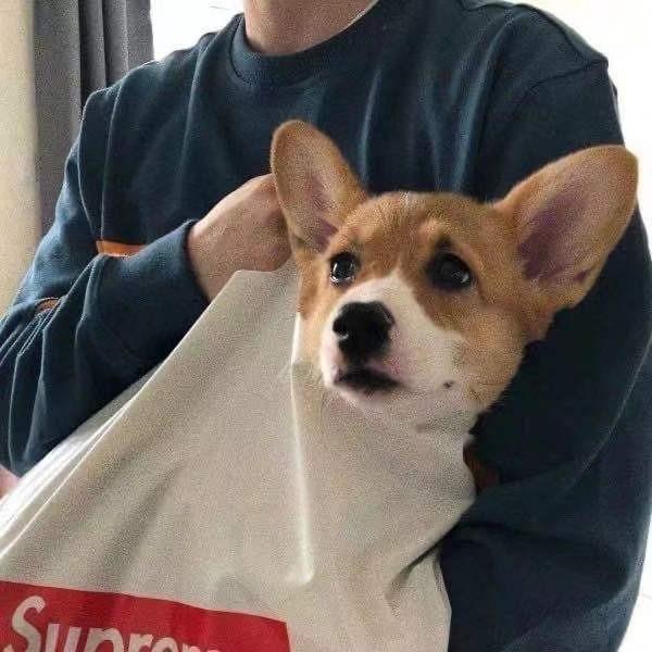 ✘
