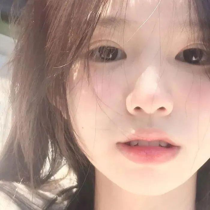 玫瑰依然盛开