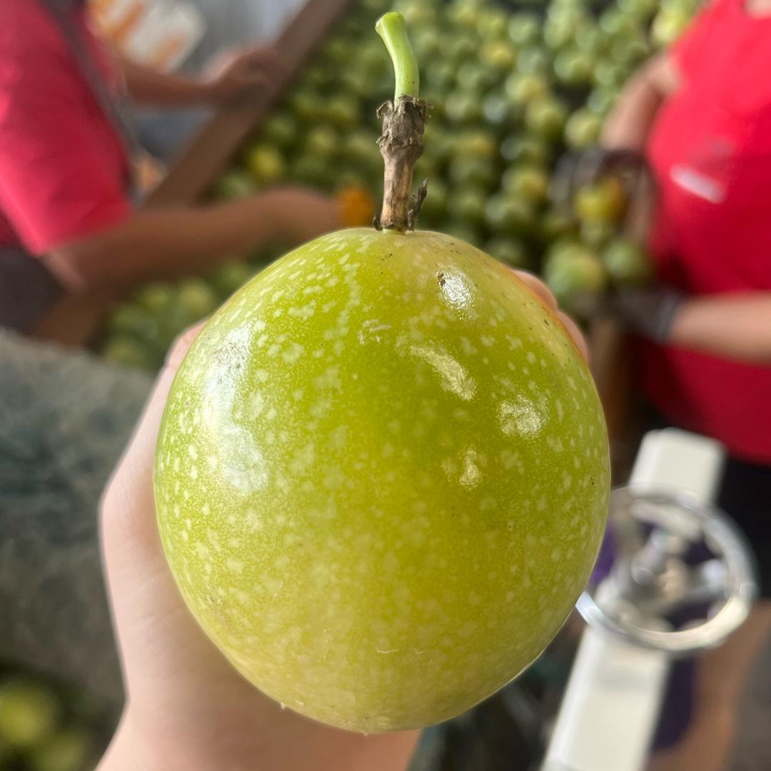 臻果鲜企业店