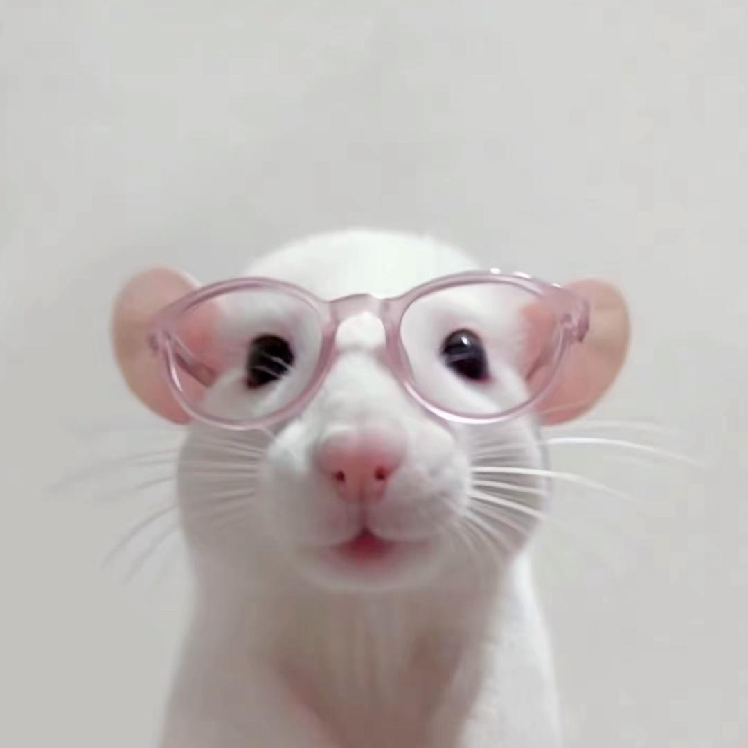 王子OvO