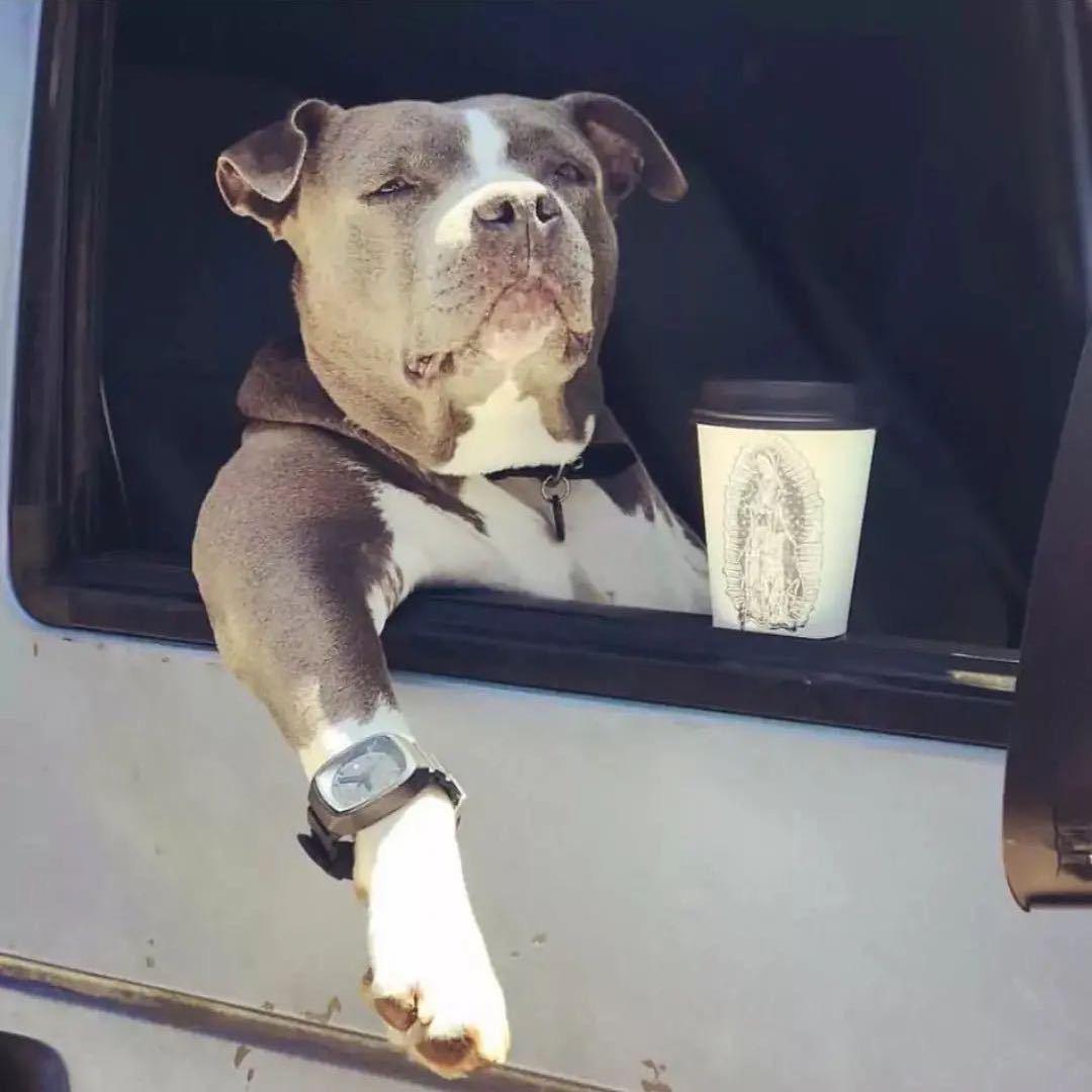 关于塑料制品🫤