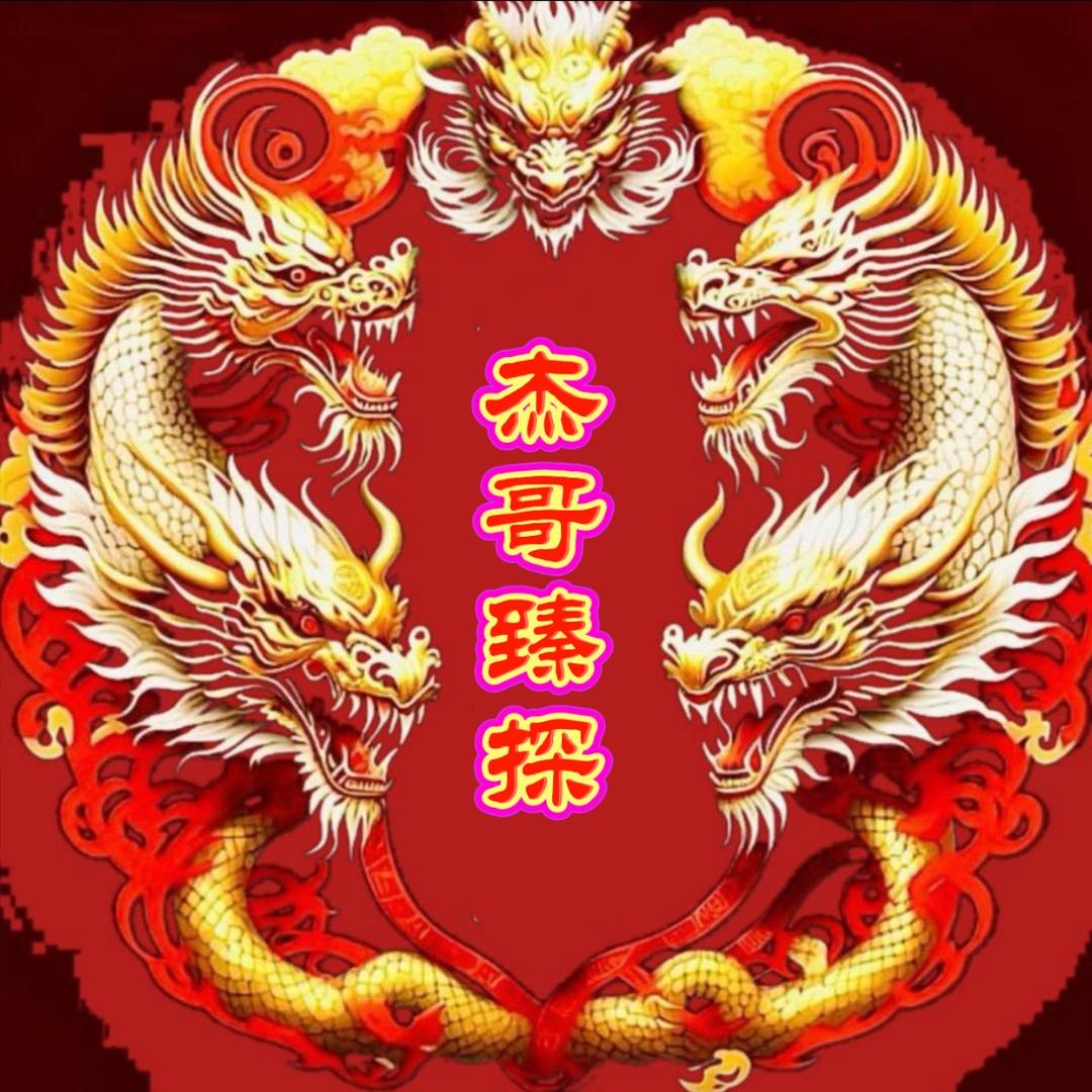 杰哥臻探