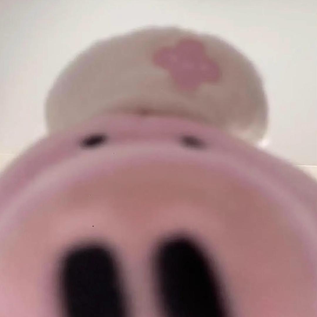 Ö