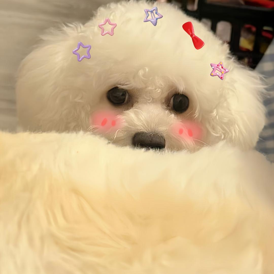 不吃蛋黄