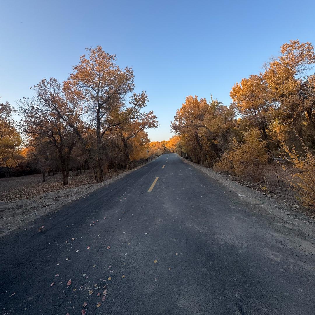 古丽🌹🌹♥♥💋💋