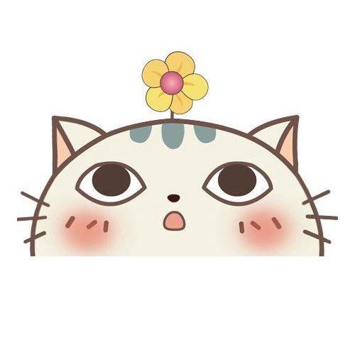 快乐喵