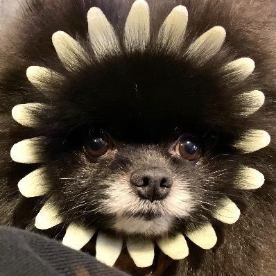 少爷宝宝🐻