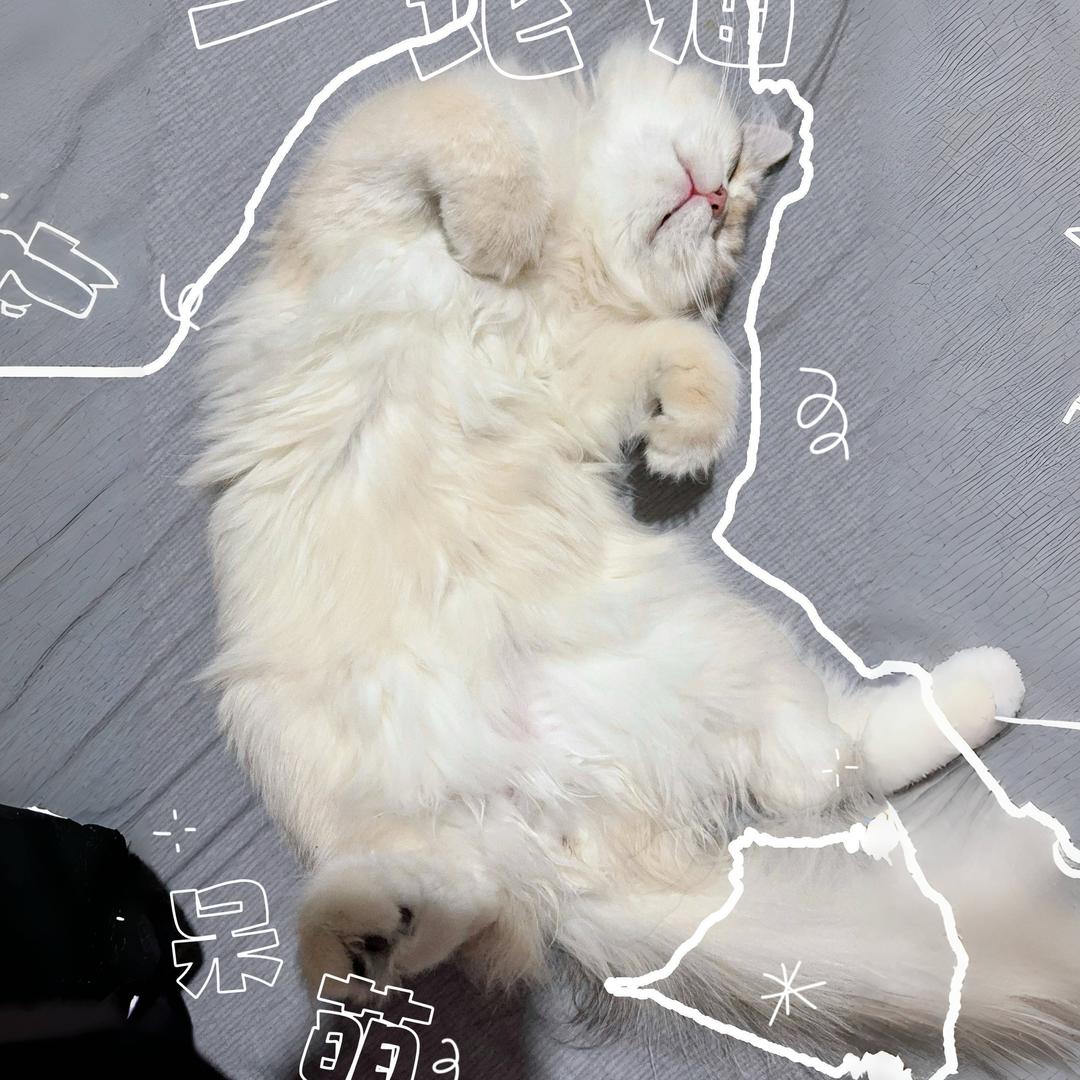 许七安