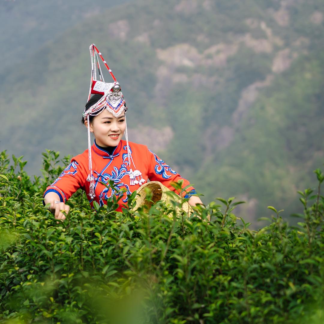 畲家小龙女