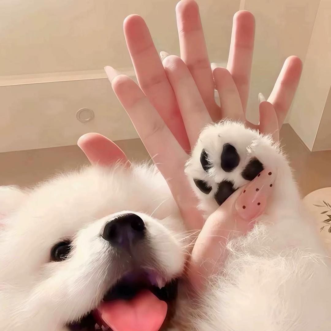 鑫 鑫