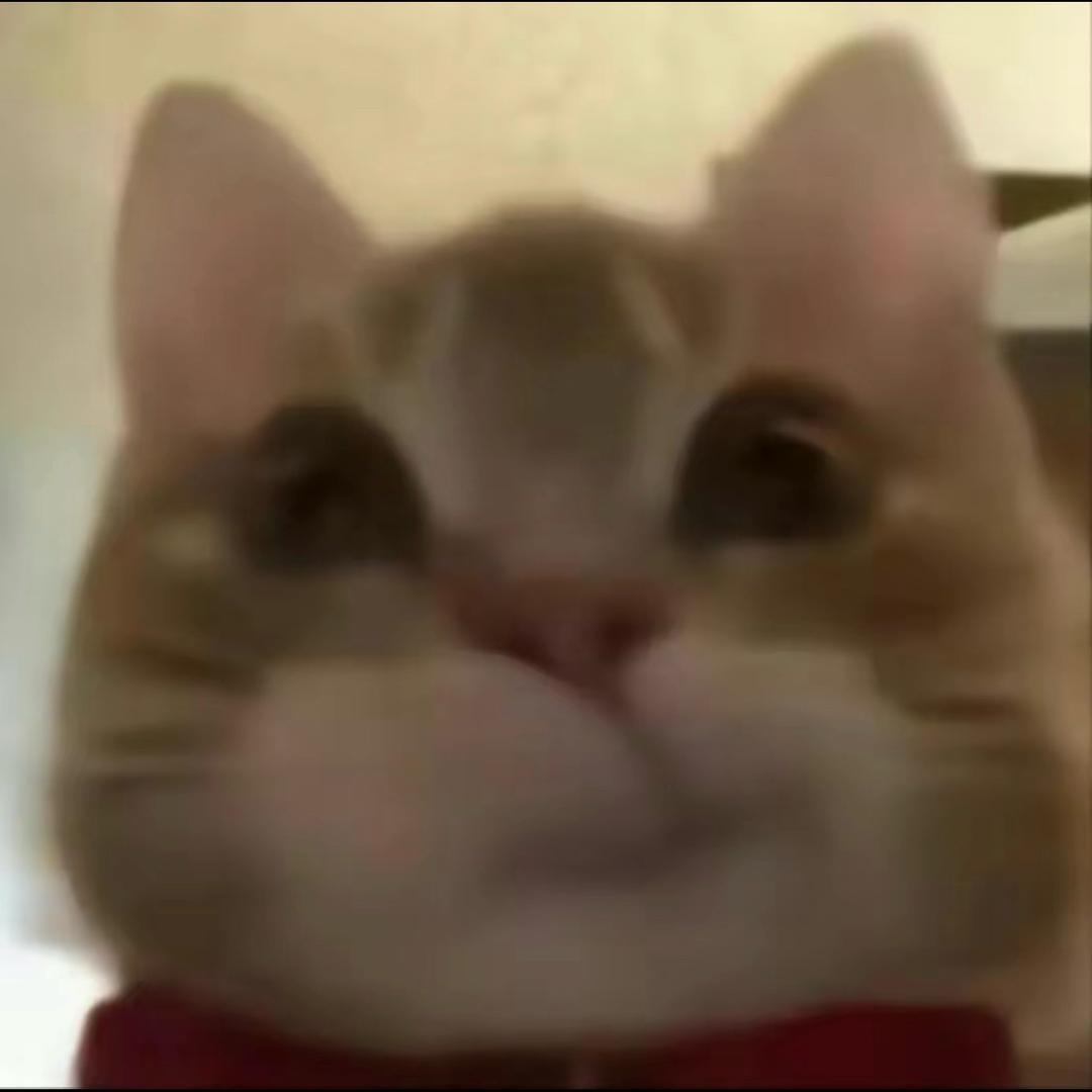 0℃的血