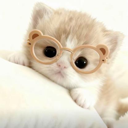 不狂不是陕西人