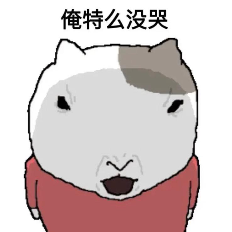 不帮猪开智