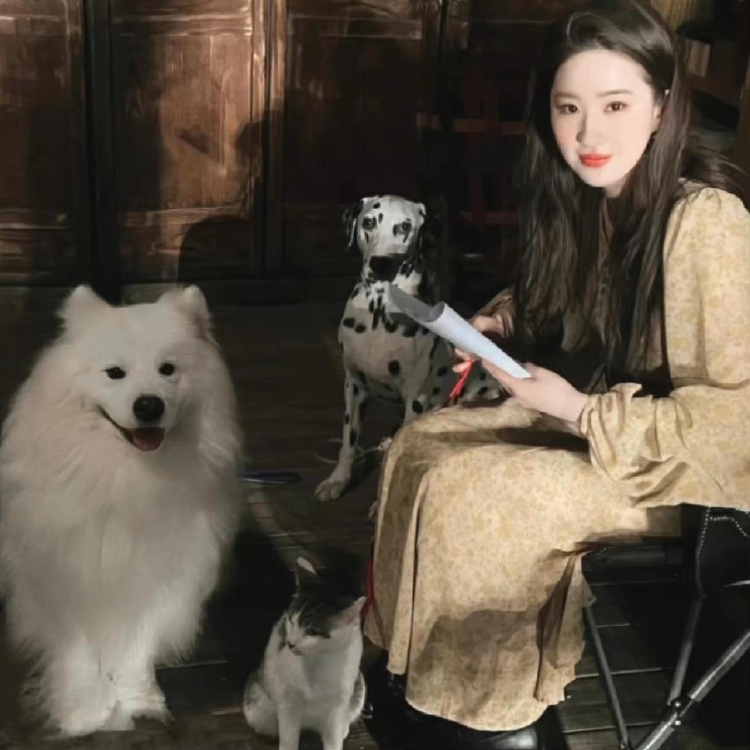 广东刘亦菲