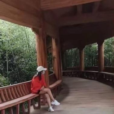 宋。𓆡𓆝𓆟𓆜 𓆞𓆝𓆟 𓆜