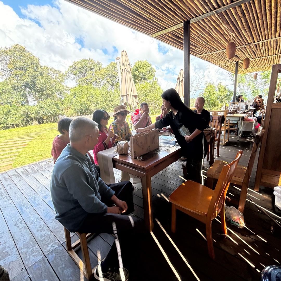 甜托与好茶🍵.