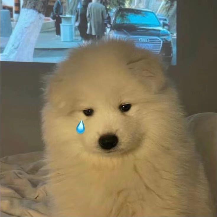 汽水