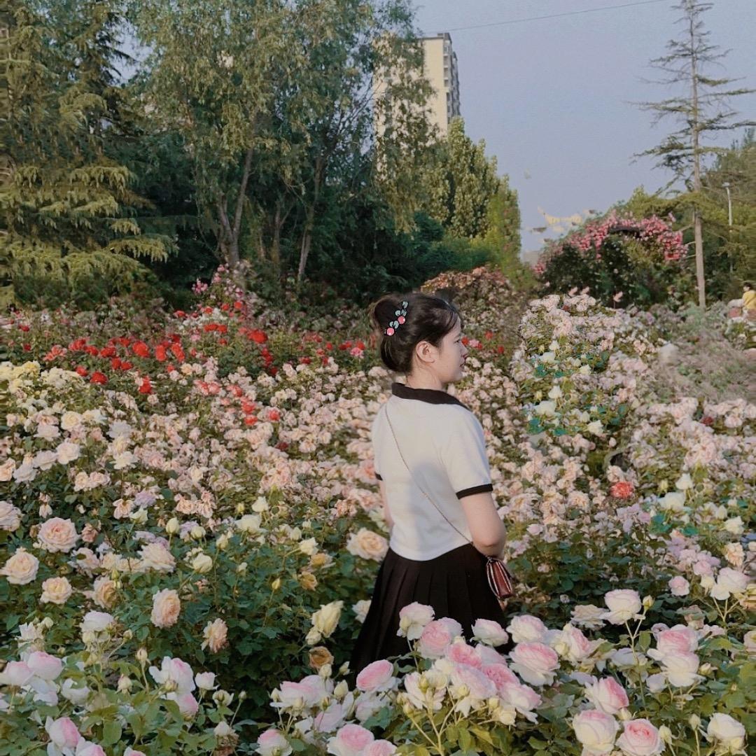 芒果味的小李子.