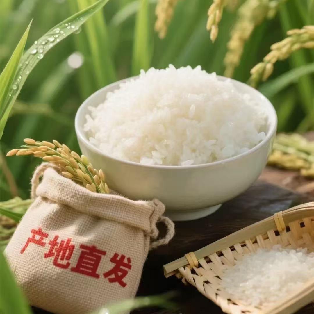 黑土地种原生态大米