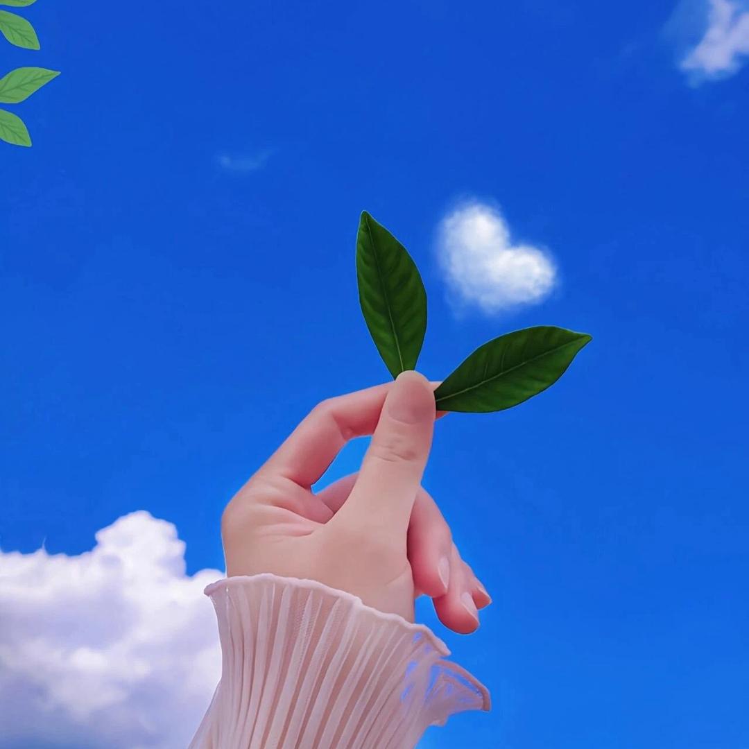 一闪一闪亮晶晶⭐️ 💫💫