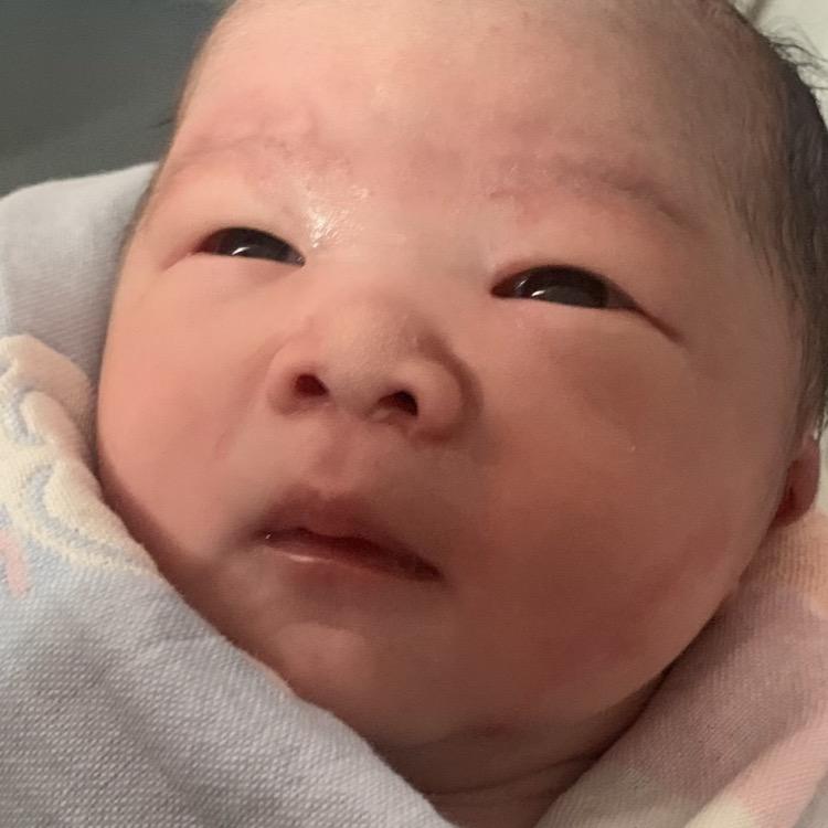 琴儿