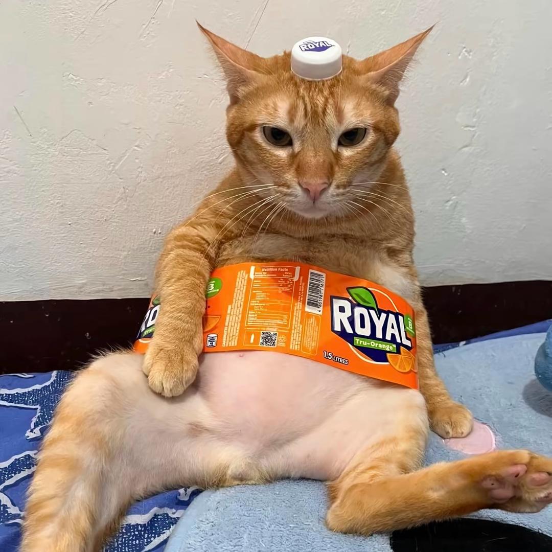 昵康