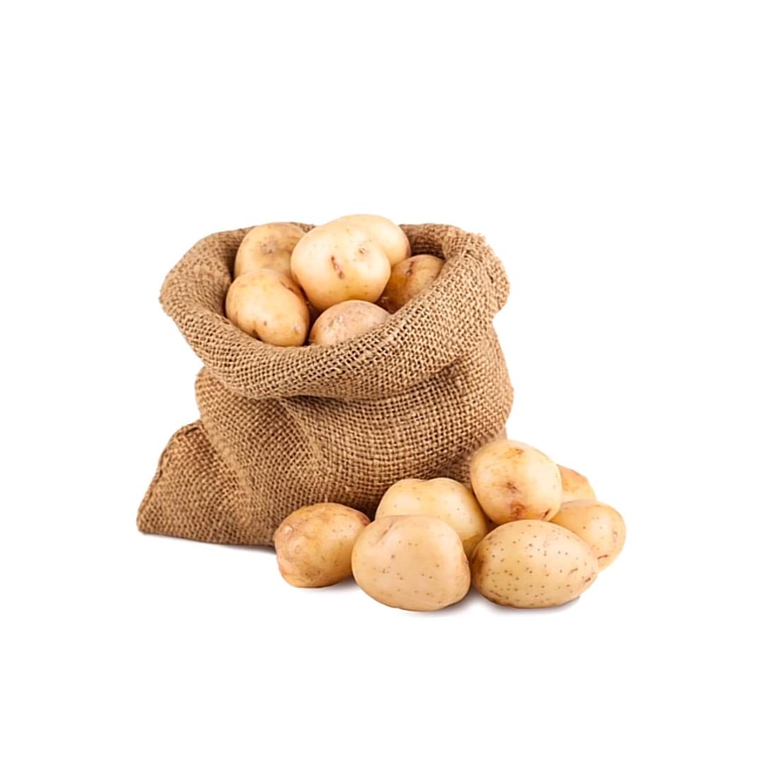 破忒头🥔