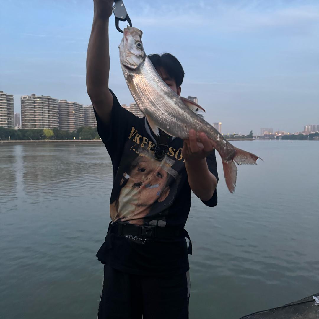 手机大王