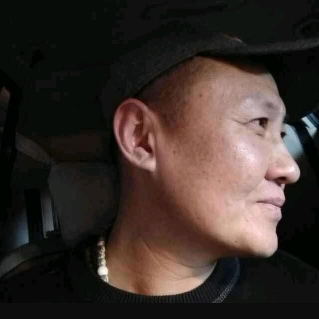 龙不悔