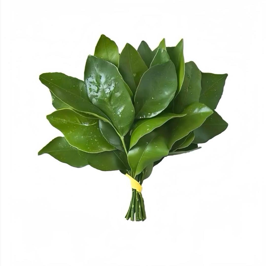 明天见-