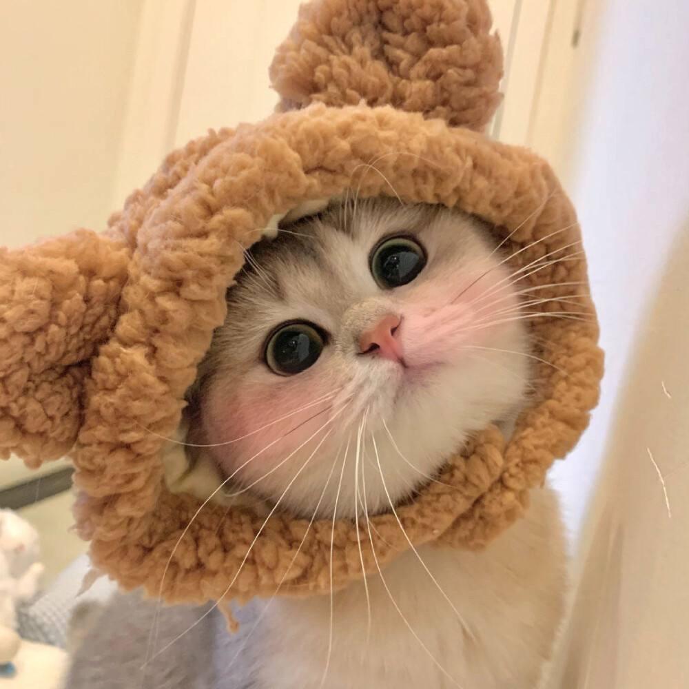 小橘子