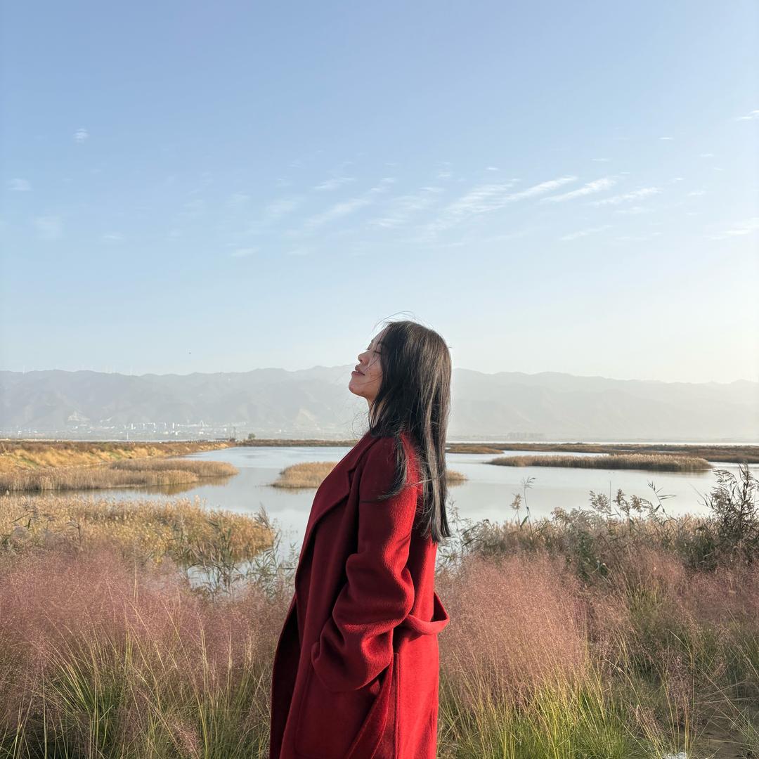 安妮H